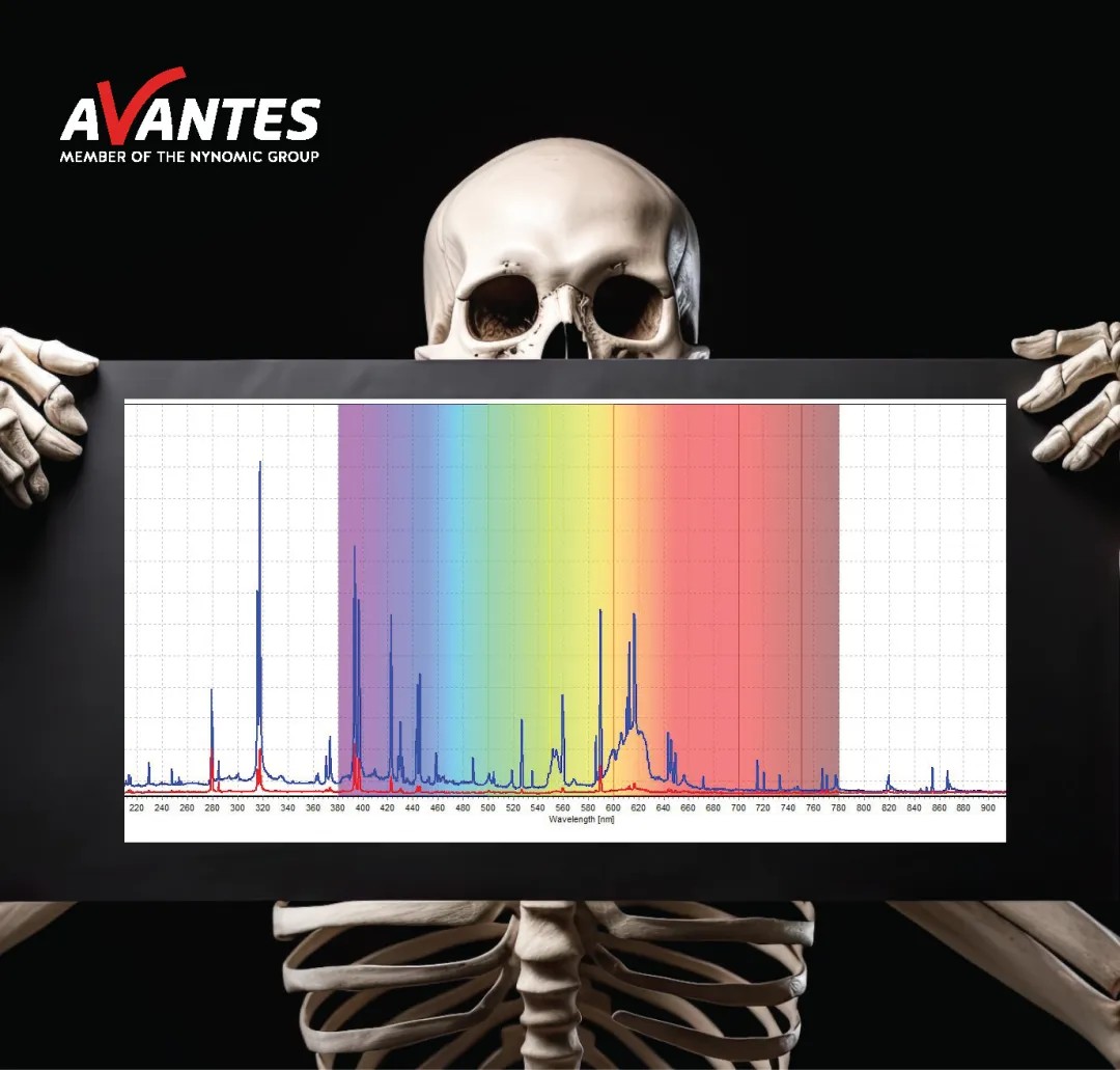 LIBS技术测量骨骼的光谱
